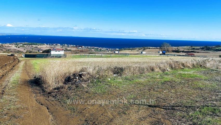 Apply Emergency Hourly Luxury Villa Project, Provide High Earnings, Completely Full Sea And Nature View