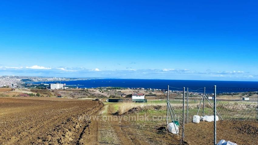 32 Luxury Villas With Great Sea, Nature And City Views, Opportunity Land Suitable For The Project