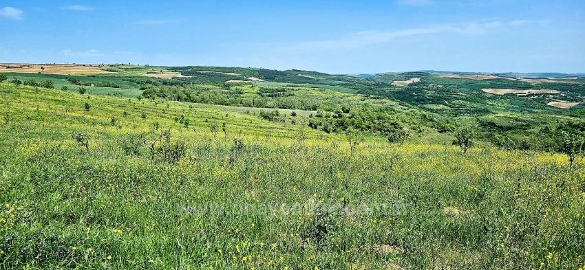 *Barter+Cash* Build A Farm With State Support* Produce And Grow* Secure Your Future*