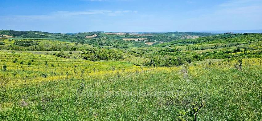 *Barter+Cash* Build A Farm With State Support* Produce And Grow* Secure Your Future*