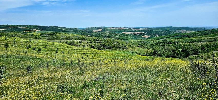 *Barter+Cash* Build A Farm With State Support* Produce And Grow* Secure Your Future*