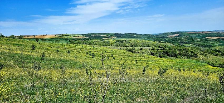 *Barter+Cash* Build A Farm With State Support* Produce And Grow* Secure Your Future*