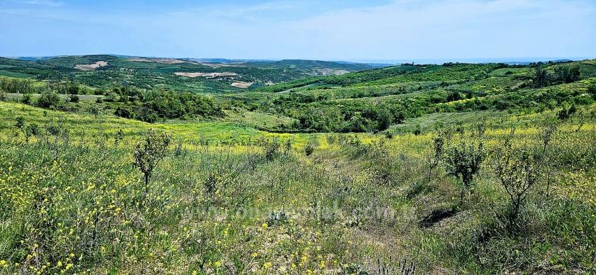 *Barter+Cash* Build A Farm With State Support* Produce And Grow* Secure Your Future*