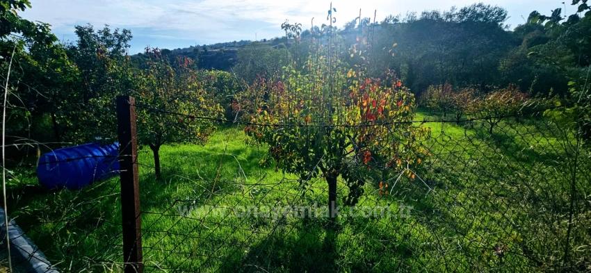 There Is No Share In The Deed Of A Detached Parcel. Don't Enjoy Picnics And Barbecues On Weekends.