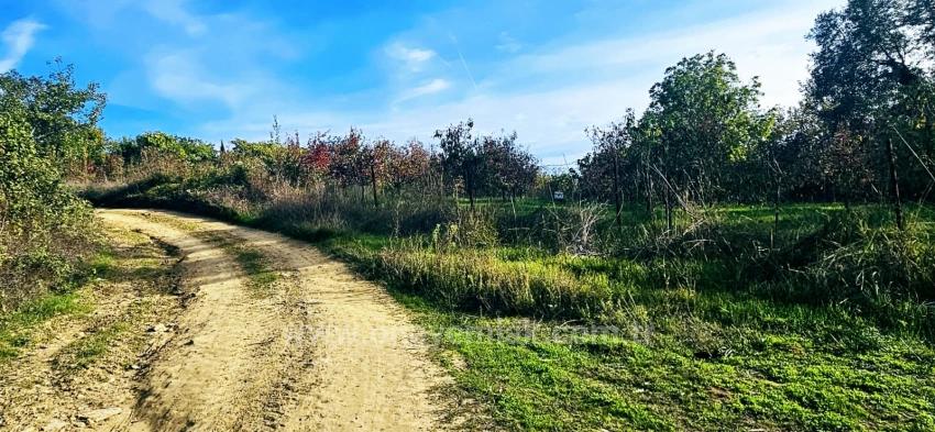 There Is No Share In The Deed Of A Detached Parcel. Don't Enjoy Picnics And Barbecues On Weekends.