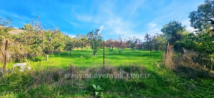 There Is No Share In The Deed Of A Detached Parcel. Don't Enjoy Picnics And Barbecues On Weekends.