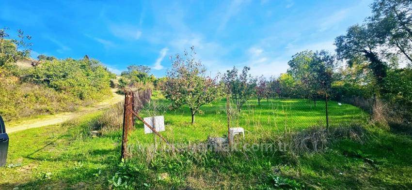 There Is No Share In The Deed Of A Detached Parcel. Don't Enjoy Picnics And Barbecues On Weekends.