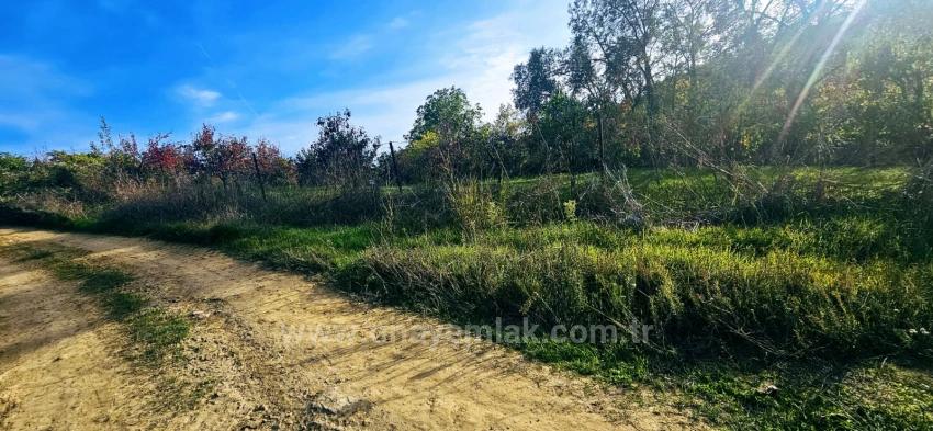 There Is No Share In The Deed Of A Detached Parcel. Don't Enjoy Picnics And Barbecues On Weekends.