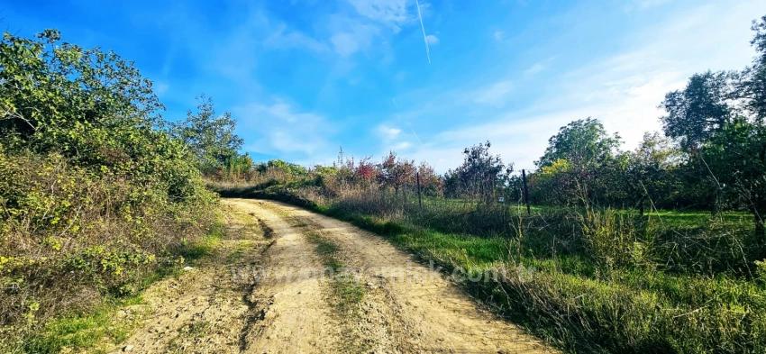 There Is No Share In The Deed Of A Detached Parcel. Don't Enjoy Picnics And Barbecues On Weekends.