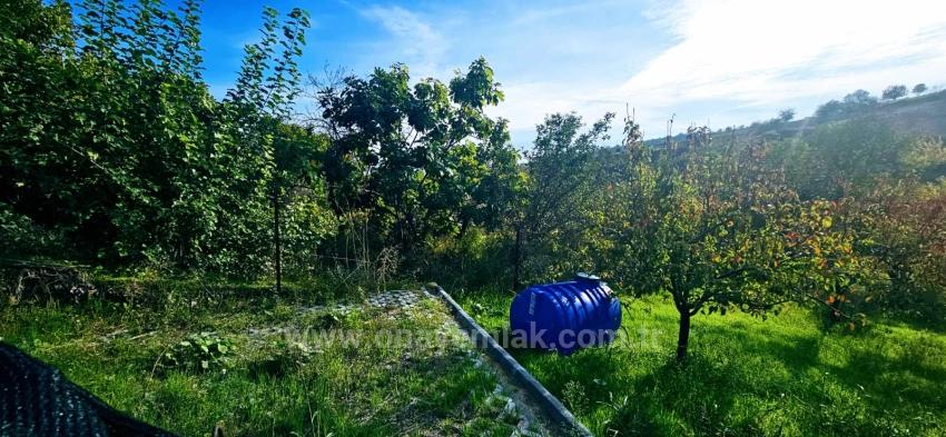 There Is No Share In The Deed Of A Detached Parcel. Don't Enjoy Picnics And Barbecues On Weekends.