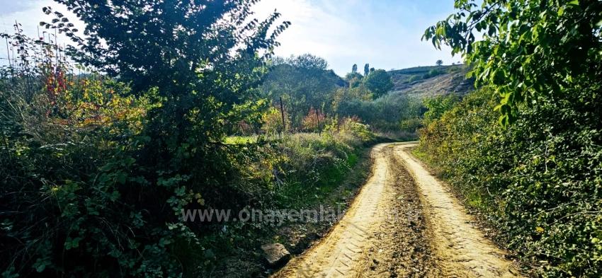 There Is No Share In The Deed Of A Detached Parcel. Don't Enjoy Picnics And Barbecues On Weekends.