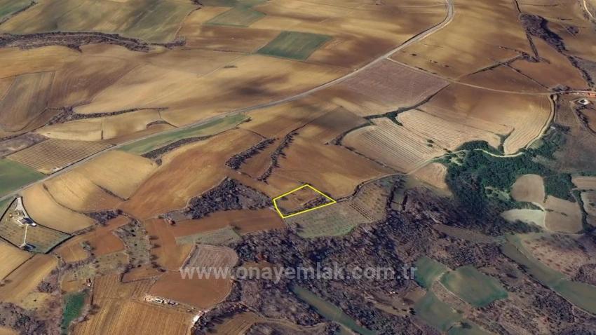 Investment Opportunity: Guaranteed High Profit In The Short Term For Those Who Want To Buy And Sell