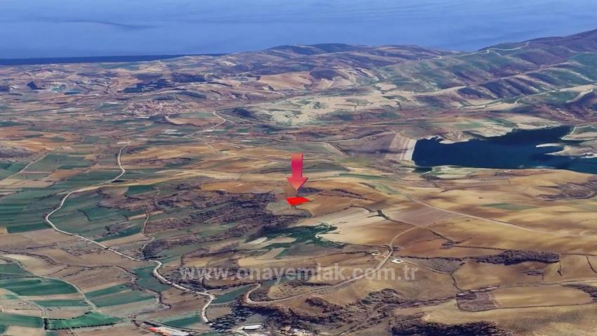 Investment Opportunity: Guaranteed High Profit In The Short Term For Those Who Want To Buy And Sell