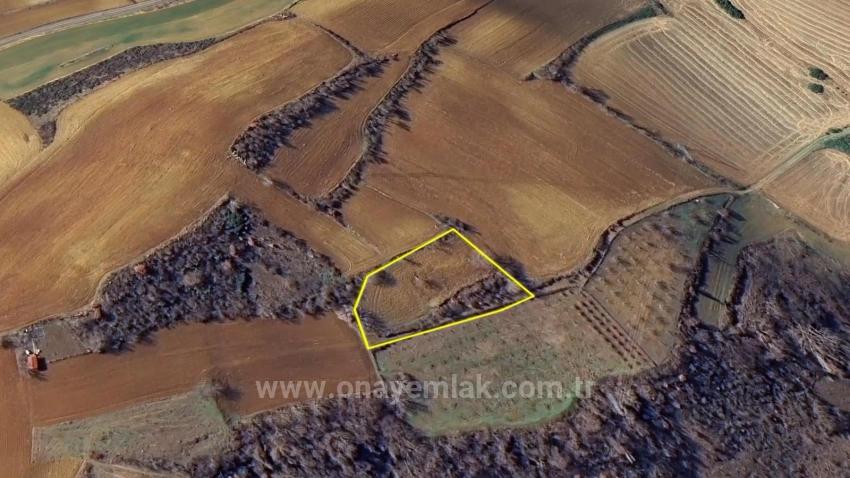 Investment Opportunity: Guaranteed High Profit In The Short Term For Those Who Want To Buy And Sell