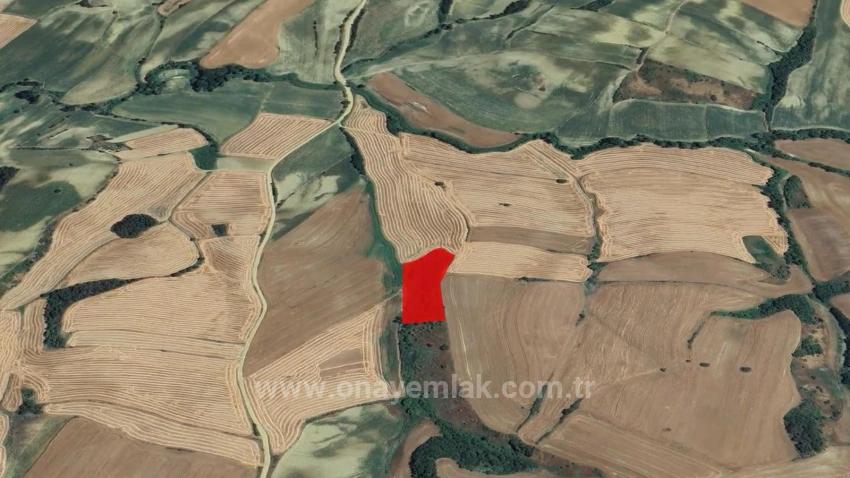 Field For sale in Oruçbeyli Nbh. Süleymanpaşa - Field Zoned - 8.100 m²