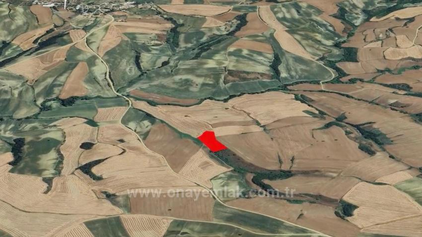 Field For sale in Oruçbeyli Nbh. Süleymanpaşa - Field Zoned - 8.100 m²