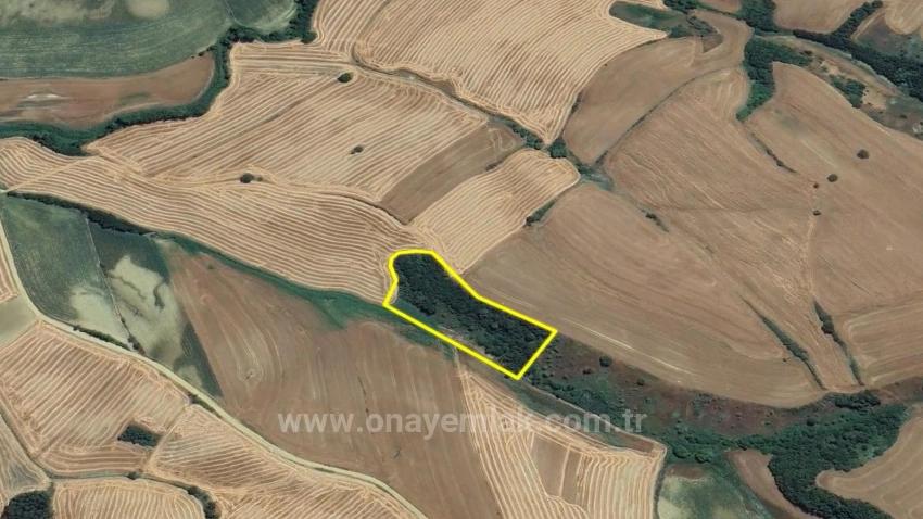 An Unmissable Investment Opportunity: 8,100 M² Of Bargain Land In The Oruç Beyli Neighborhood Of Tekirdağ.