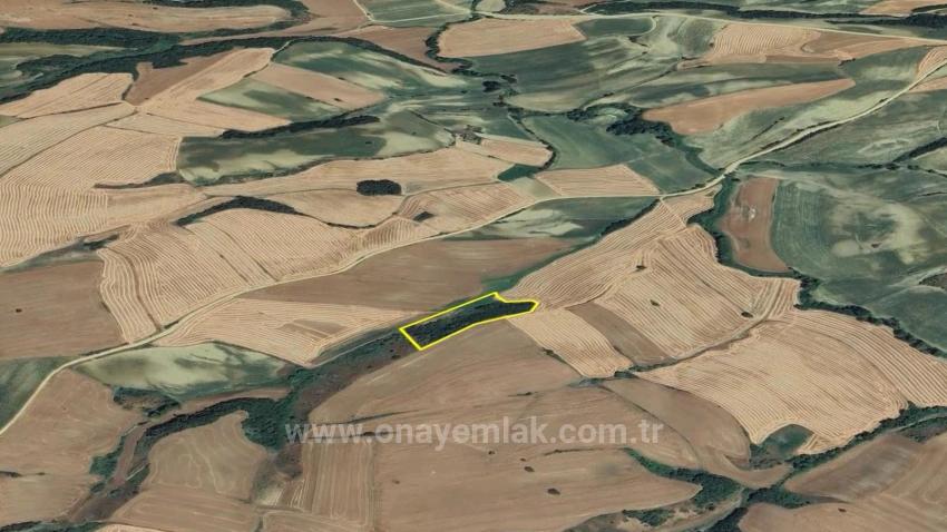 An Unmissable Investment Opportunity: 8,100 M² Of Bargain Land In The Oruç Beyli Neighborhood Of Tekirdağ.