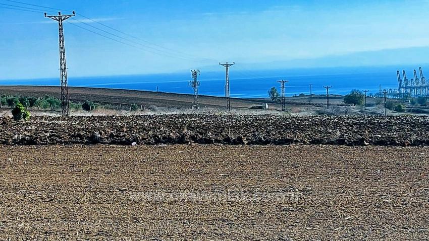 Opportunity Land In The Factories Region, With High Short-Term Profits