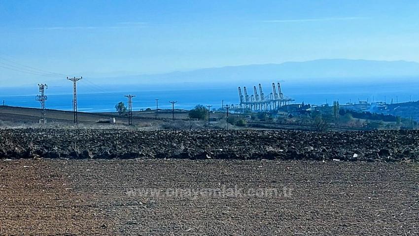 Opportunity Land In The Factories Region, With High Short-Term Profits