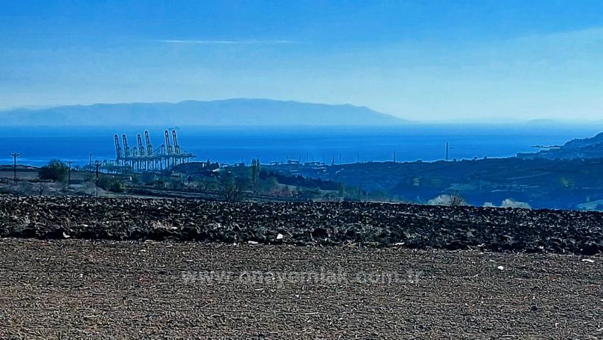 Opportunity Land In The Factories Region, With High Short-Term Profits