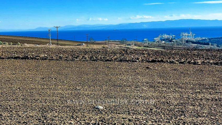 Opportunity Land In The Factories Region, With High Short-Term Profits