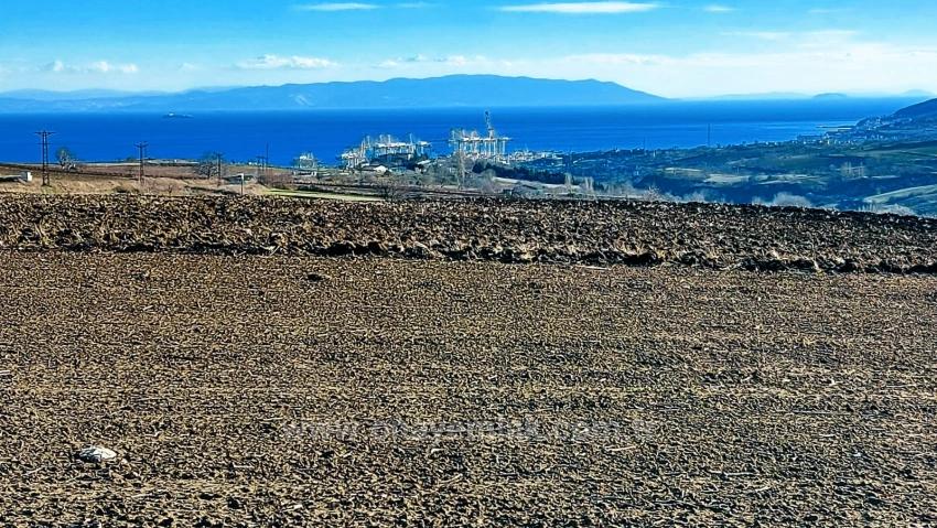 Opportunity Land In The Factories Region, With High Short-Term Profits