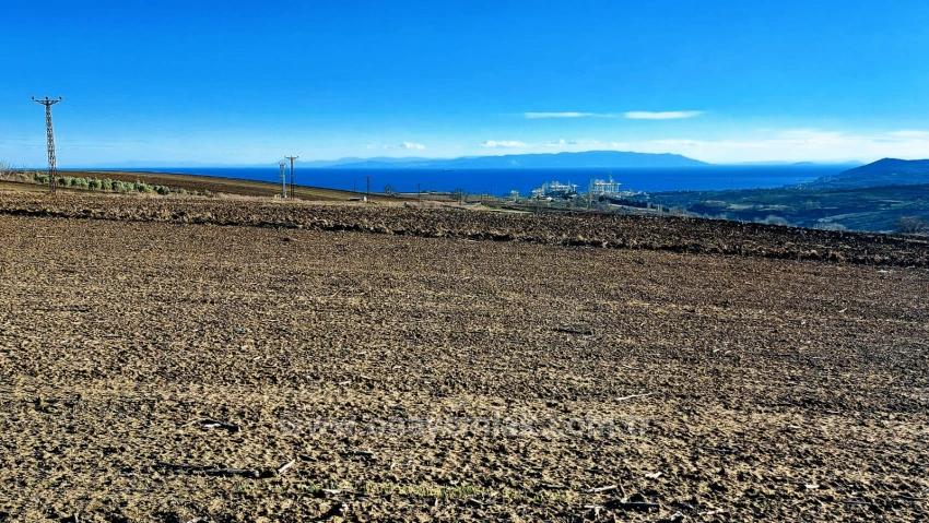 Opportunity Land In The Factories Region, With High Short-Term Profits