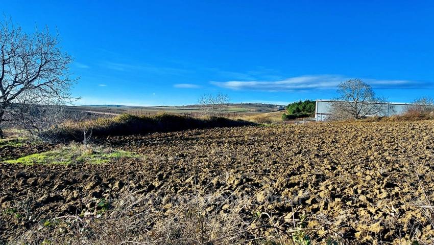 Opportunity Land In The Factories Region, With High Short-Term Profits