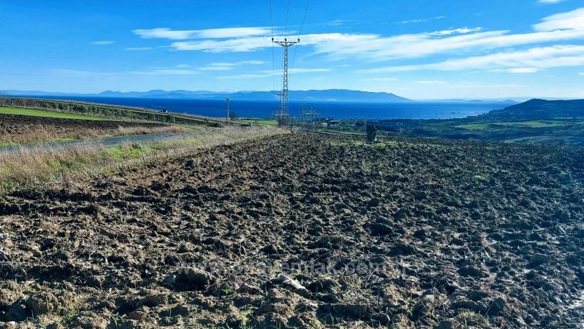 Opportunity Land In The Factories Region, With High Short-Term Profits