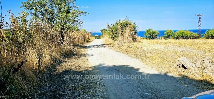 615 M2 Bargain Corner Plot Close To Asyaport