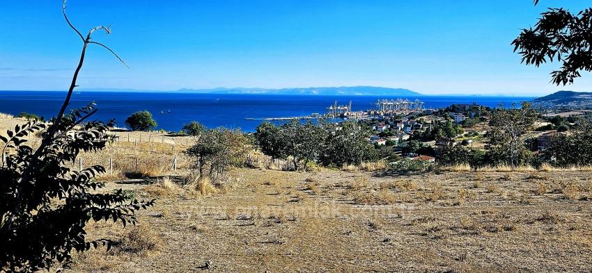 High Profit Guarantee For Those Who Want To Buy And Sell Urgent Sale Due To Cash Needs