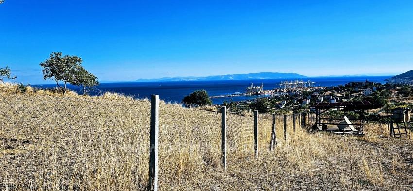 High Profit Guarantee For Those Who Want To Buy And Sell Urgent Sale Due To Cash Needs