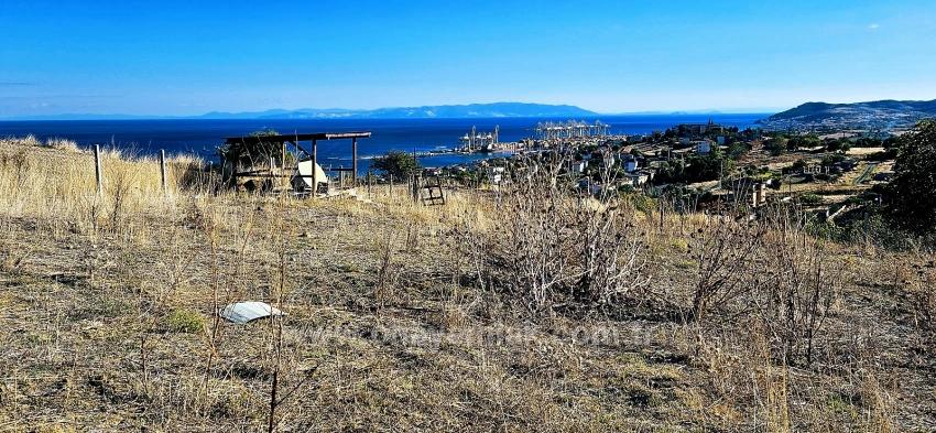 High Profit Guarantee For Those Who Want To Buy And Sell Urgent Sale Due To Cash Needs