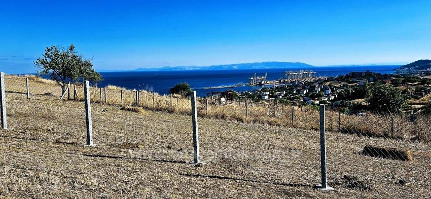 High Profit Guarantee For Those Who Want To Buy And Sell Urgent Sale Due To Cash Needs