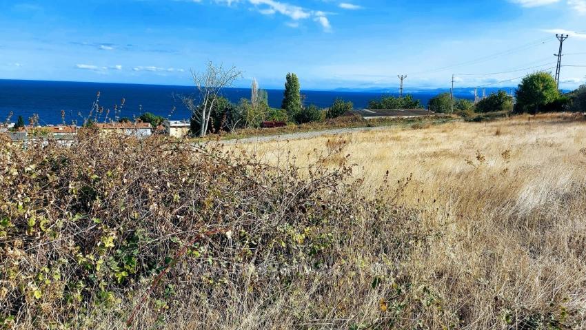 Triplexs Land Is A Great Opportunity For Those Who Want To Build A Detached House With Small Capital