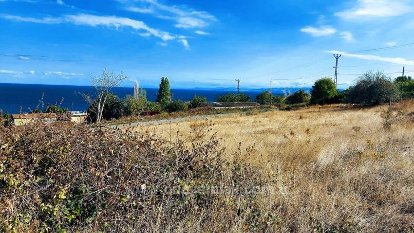 Triplexs Land Is A Great Opportunity For Those Who Want To Build A Detached House With Small Capital