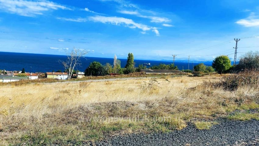 Triplexs Land Is A Great Opportunity For Those Who Want To Build A Detached House With Small Capital