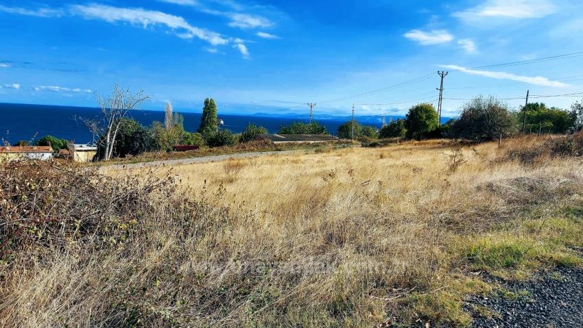 Triplexs Land Is A Great Opportunity For Those Who Want To Build A Detached House With Small Capital