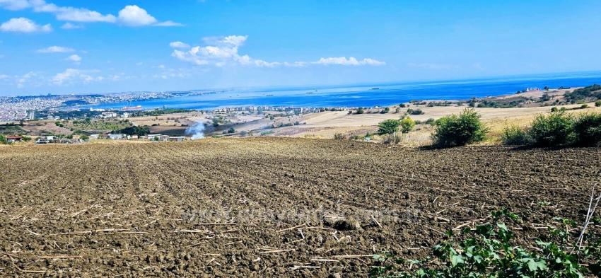 Land Opportunity Suitable For 4 Luxury Villas With Full Sea View