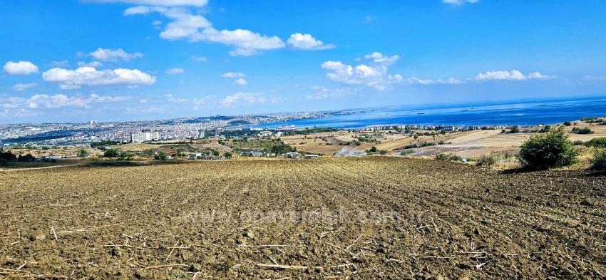 Land Opportunity Suitable For 4 Luxury Villas With Full Sea View