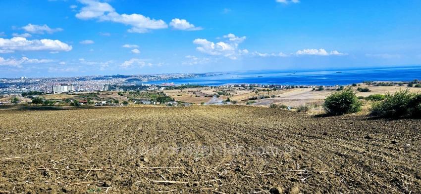 Land Opportunity Suitable For 4 Luxury Villas With Full Sea View
