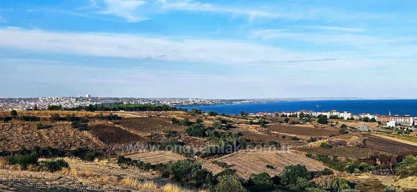 Bargain 1,150 M2 Land With Full Sea View In Tekirdağ Topağaç Neighborhood