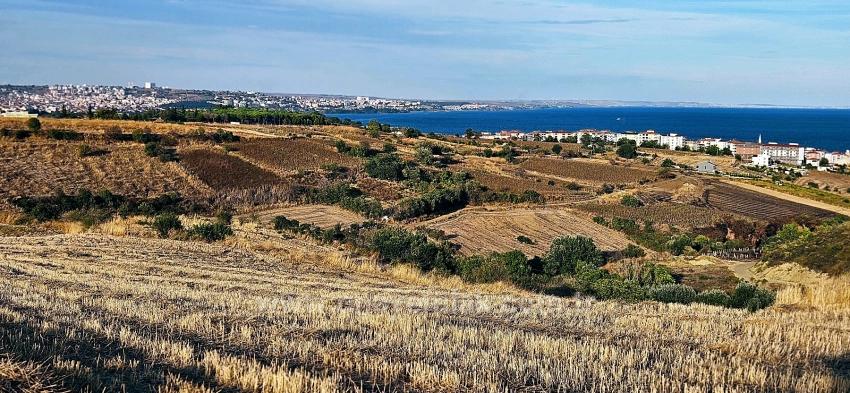 Bargain 1,150 M2 Land With Full Sea View In Tekirdağ Topağaç Neighborhood