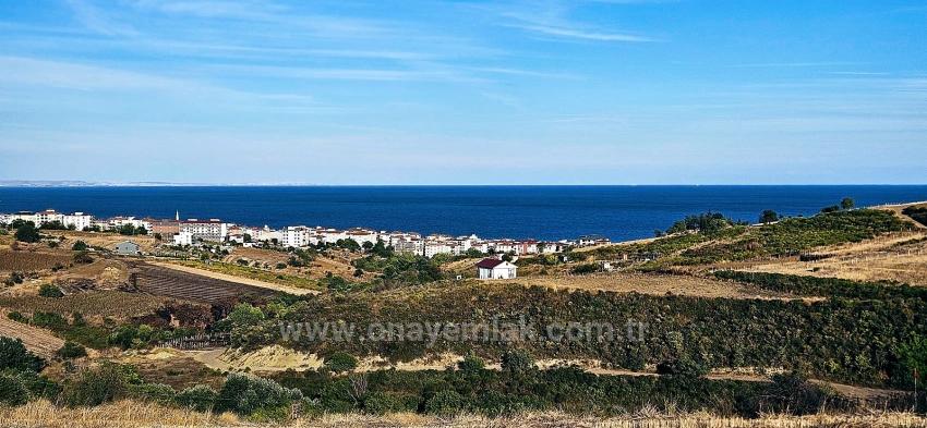 Bargain 1,150 M2 Land With Full Sea View In Tekirdağ Topağaç Neighborhood