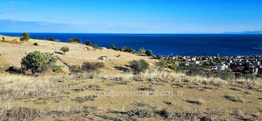 530 M2 Corner Plot With Ready Infrastructure And Wonderful Sea And Nature Views