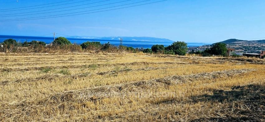 8,500 M2 Residential Land With High Profit Promise, Close To Asyaport Port