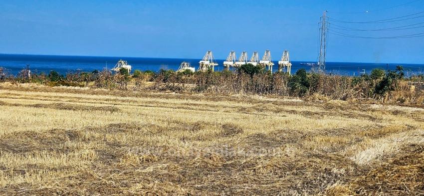 8,500 M2 Residential Land With High Profit Promise, Close To Asyaport Port