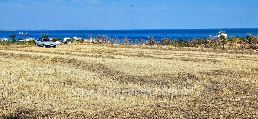 Field For sale in Barbaros Nbh. Süleymanpaşa Kumbağ - Housing Zoned - 8.500 m²