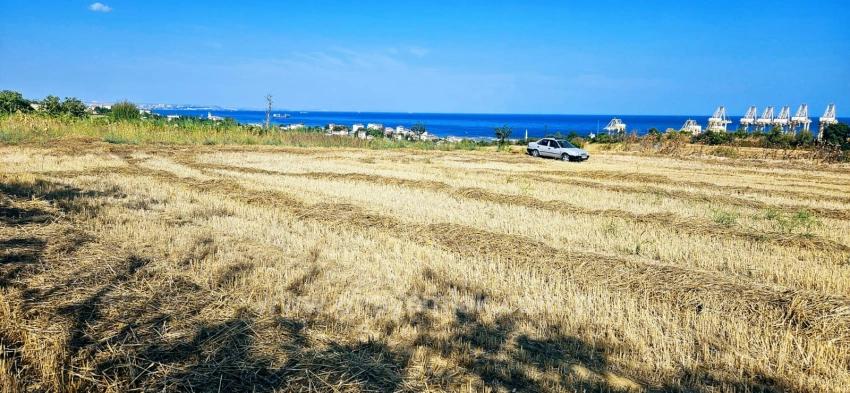 8,500 M2 Residential Land With High Profit Promise, Close To Asyaport Port